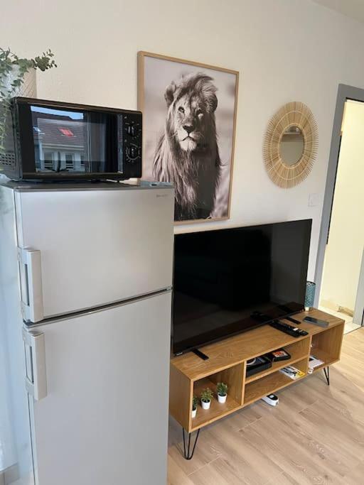 Adorable Appartement Strasbourg Neudorf Parking Sous Sol ภายนอก รูปภาพ